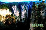 【純玩拼團(tuán)線路6】張家界、黃龍洞、天門山、天子山三晚四日游