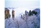 春節(jié)旅游：張家界、袁家界、天子山、寶峰湖/黃龍洞度假二晚三日游